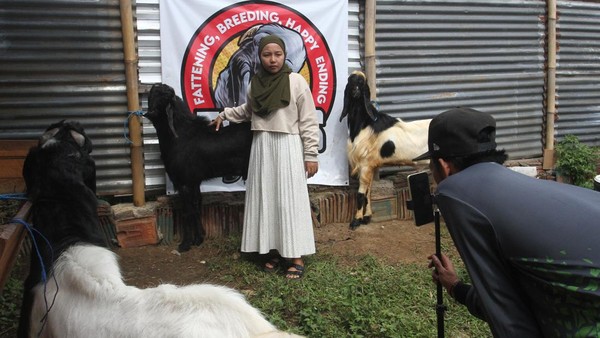 Livestream to Livestock: How Qurban Goat Sellers Are Winning Buyers Online